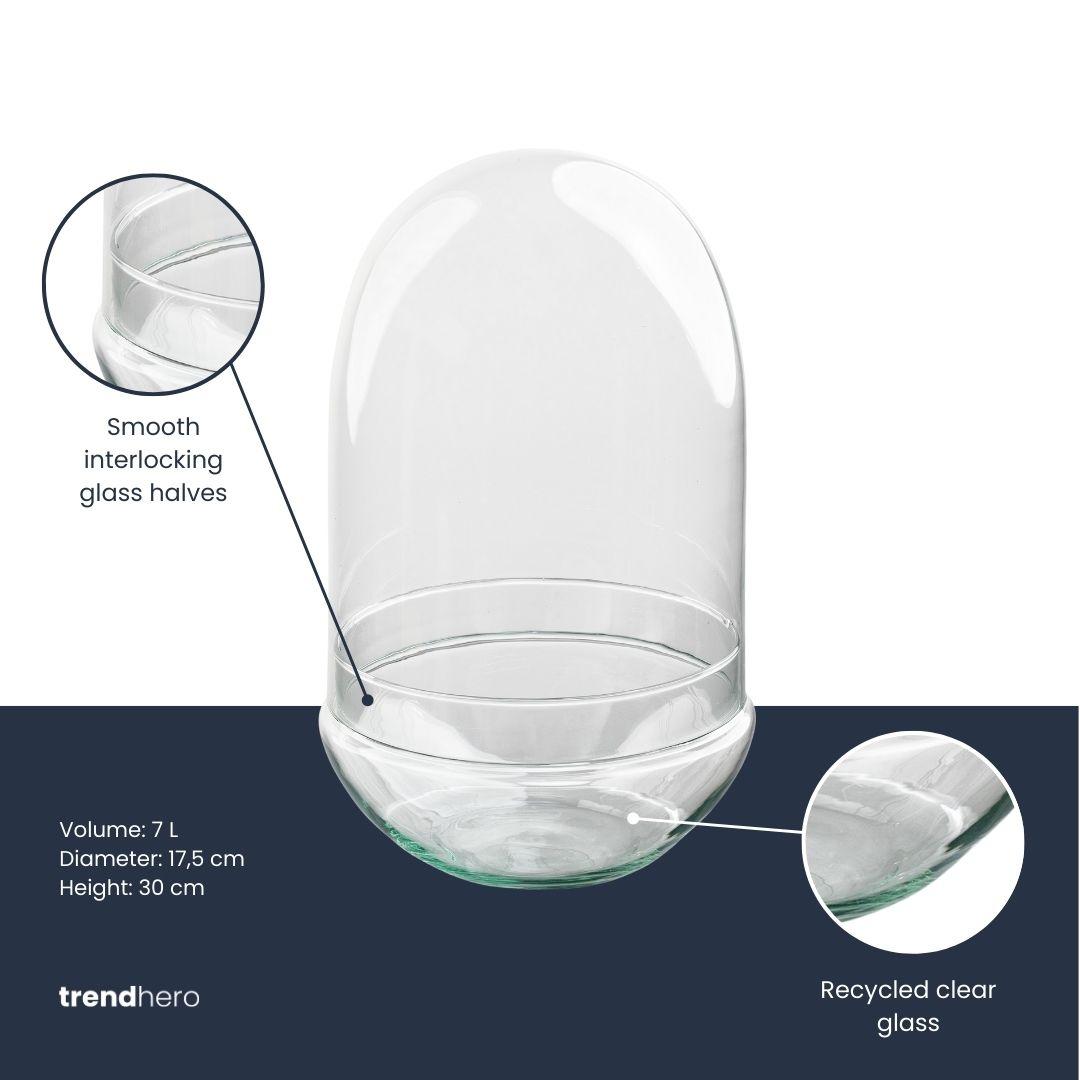 Flaschengarten Terrarium Ei XL – Rundes Kuppelterrarium aus recyceltem Glas – Ø17,5 cm, Höhe 30 cm – Nachhaltige Glasflasche für Pflanzen und Dekoration