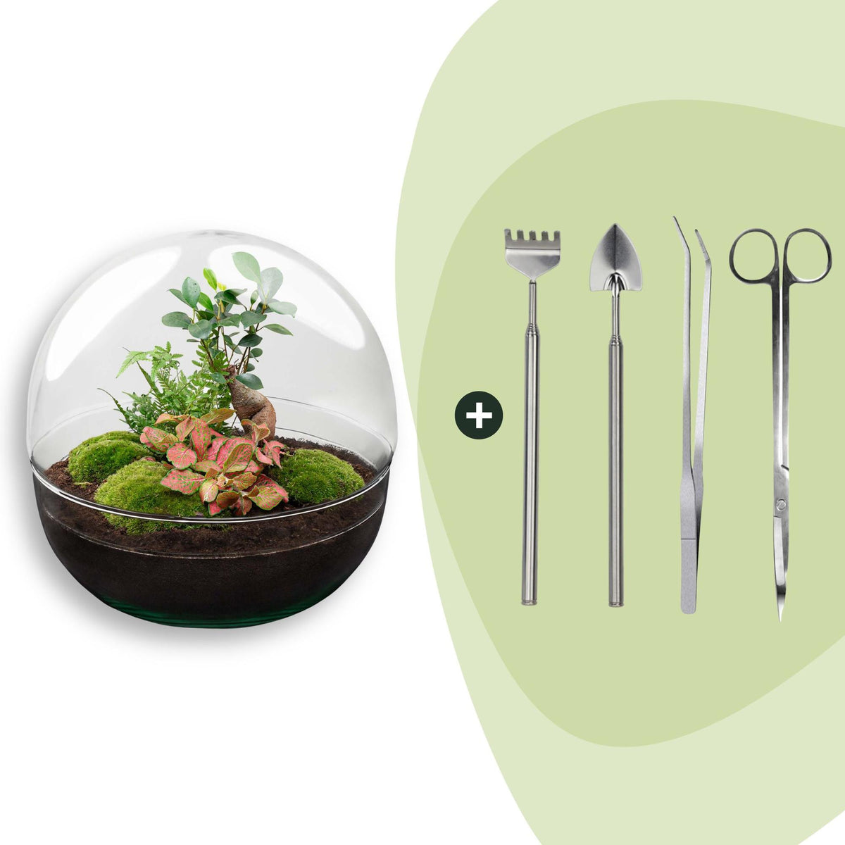 Flaschengarten DIY Bausatz Dome XL – Terrarium Ø30cm x H30cm – Ansicht 8