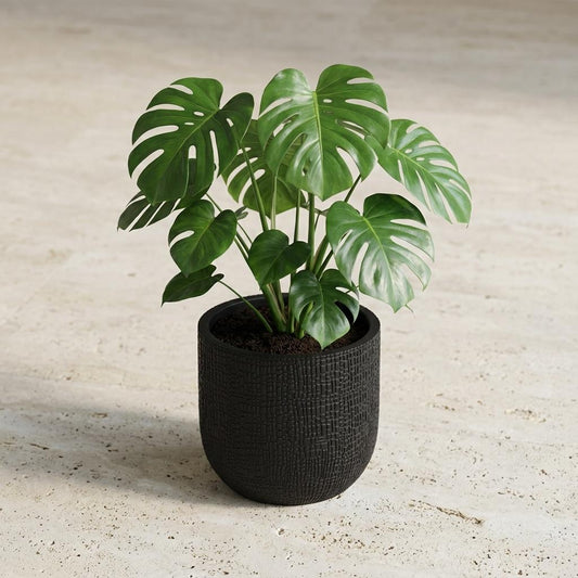 Pflanztopf Capi Bol Skin Anthrazit – D14cm x H13cm – Moderner Blumentopf mit Hautstruktur – Für Innen & Außen – Leicht & robust – Zeitloses Design