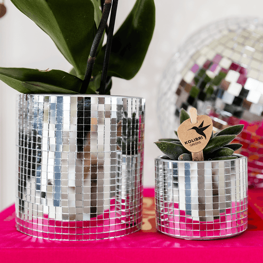 Kolibri Home | Disco sierpot - Ø9cm