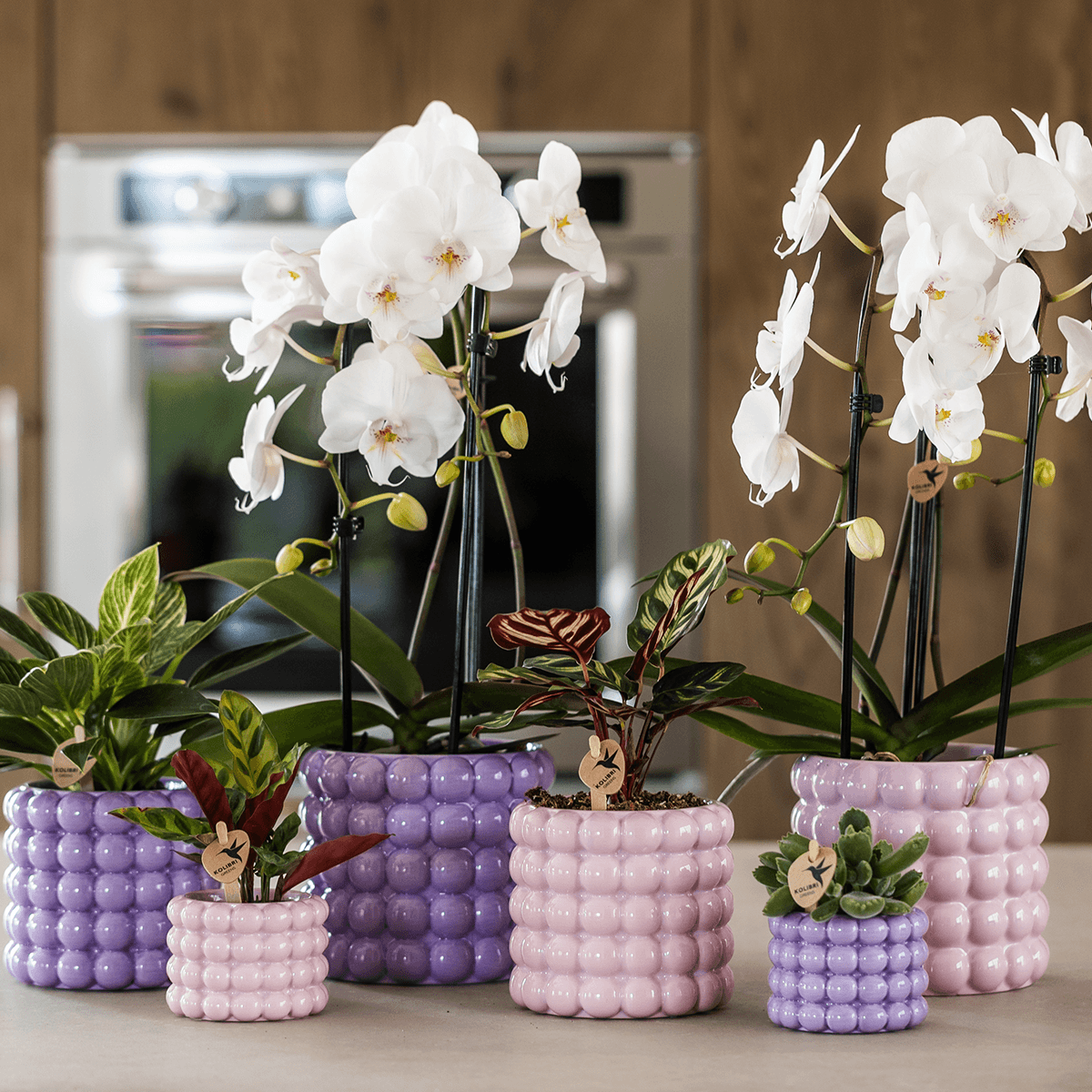 Kolibri Home | Poppy Ziertopf - Pink - Ø12cm