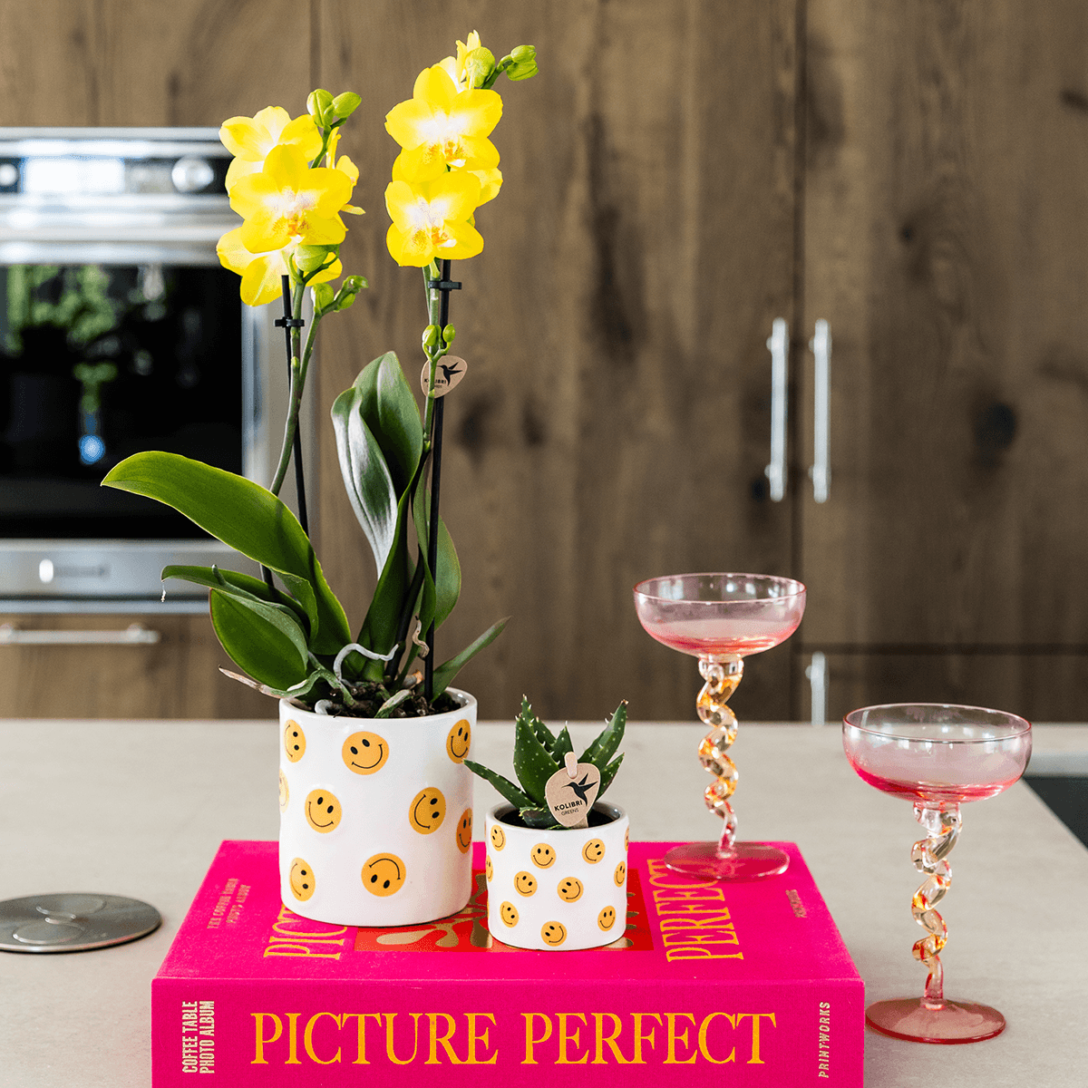 Kolibri Home | Smiley Übertopf - Ø9cm