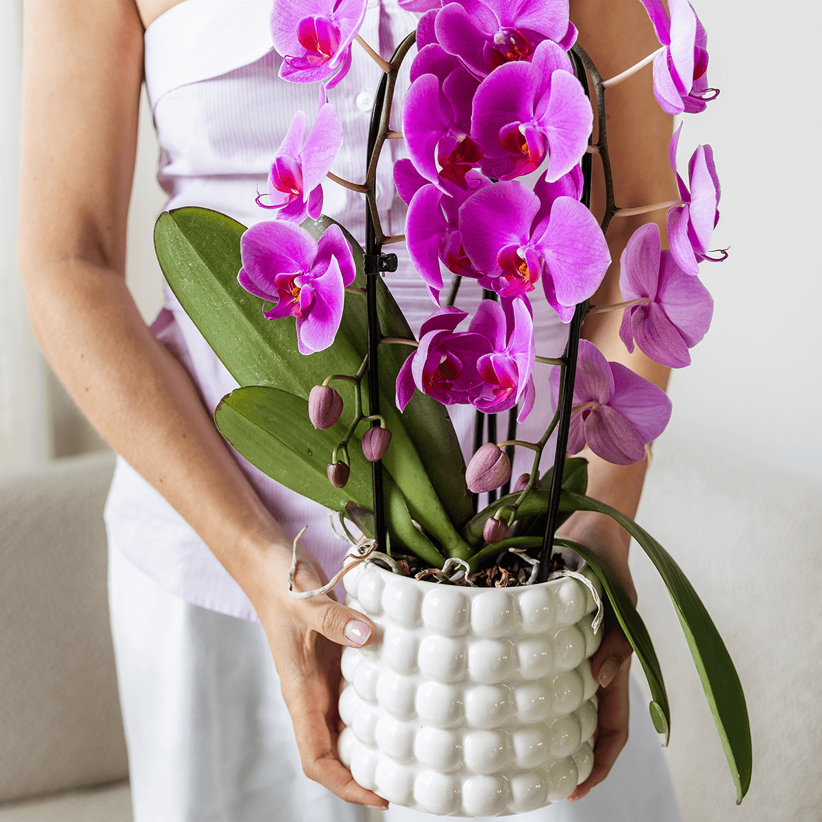 Kolibri Home | Poppy Ziertopf - White - Ø12cm