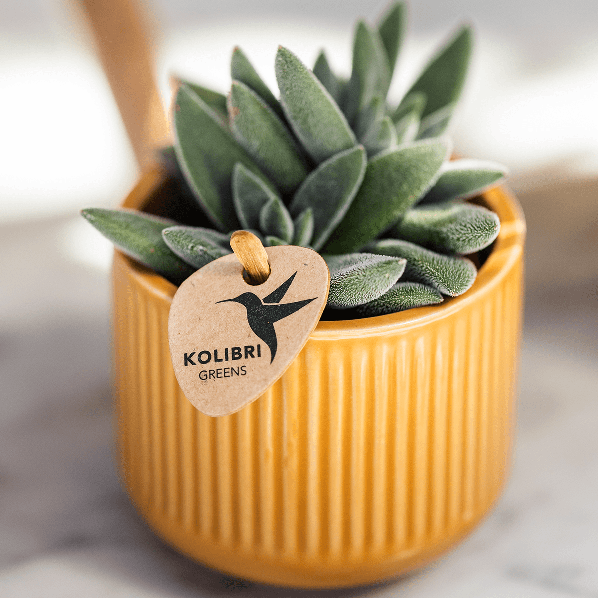Kolibri Home | Flare Dekotopf - Ocher - Ø6cm