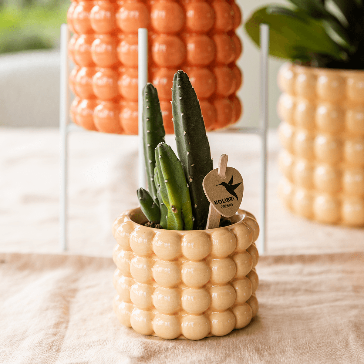 Kolibri Home | Poppy Ziertopf - Peach - Ø6cm