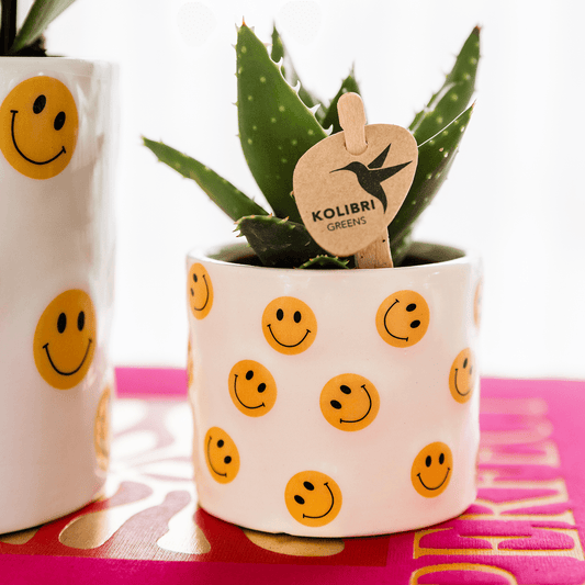 Kolibri Home | Smiley Übertopf - Ø6cm