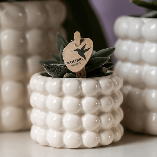 Kolibri Home | Poppy Ziertopf - White - Ø6cm
