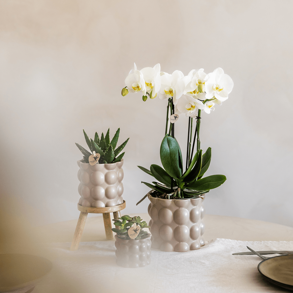 Kolibri Home | Cotton sierpot - Sand - Ø9cm