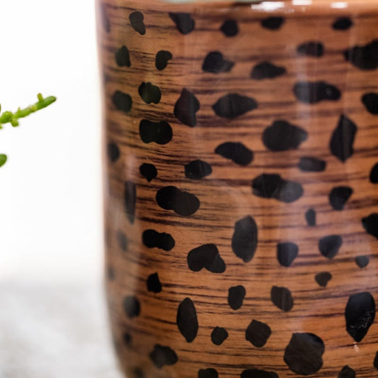 Kolibri Orchids | Leopard Geschenkset | Orange Bolzano Orchidee Ø9cm + Grünpflanze Ø6cm – inkl. Leopard‑Übertöpfe & schwarzem Tablett – frisch vom Züchter