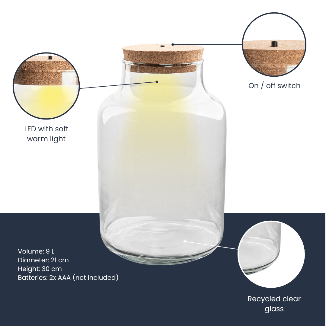 Terrarienflasche „Milky“ mit LED-Korkdeckel – Ø21cm ↕30cm – Glasflasche aus Recyclingglas – ca. 9L Volumen – Ideal für DIY-Terrarien & Mini-Ökosysteme – Mit Beleuchtung