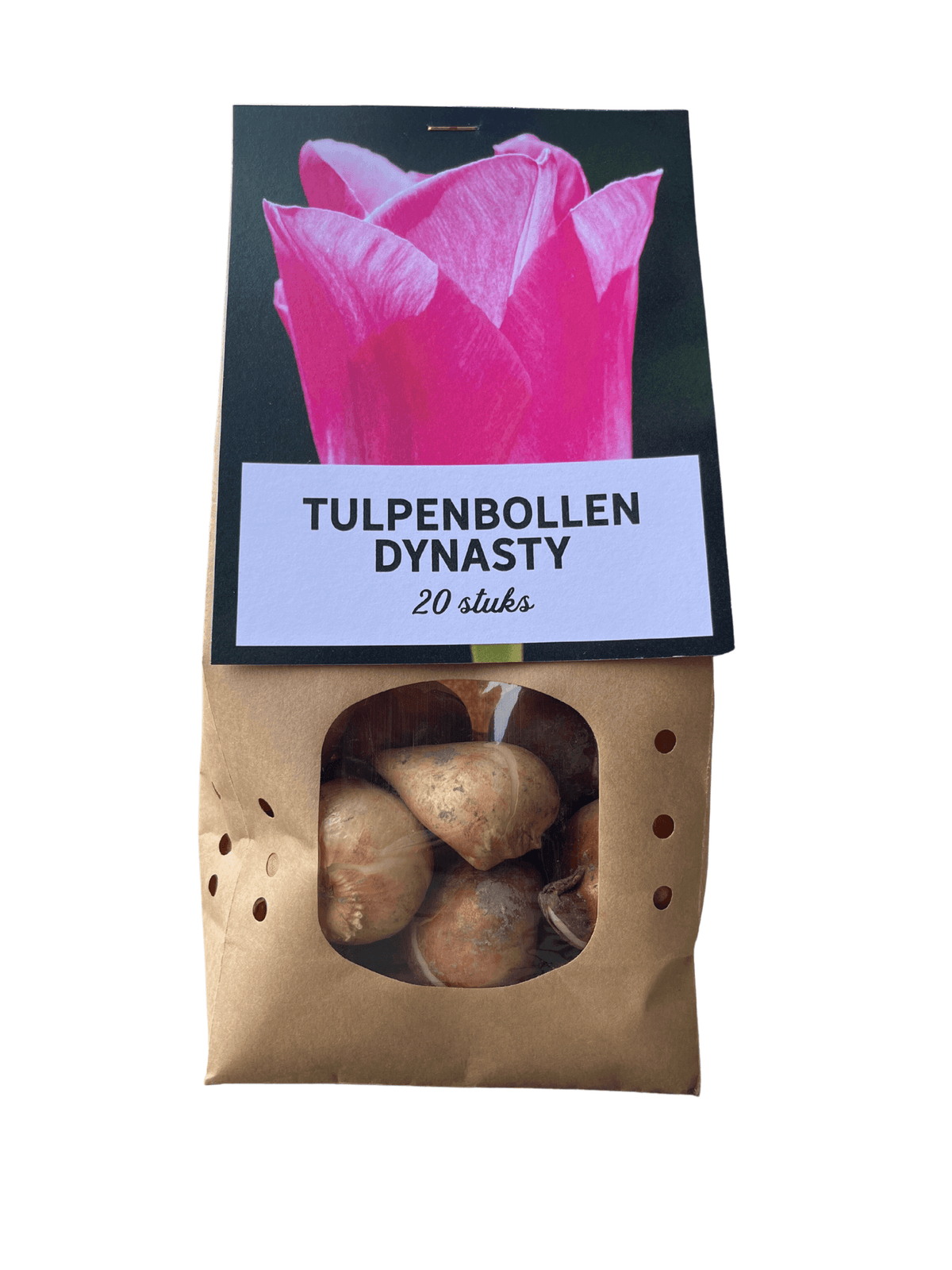 Tulpenzwiebeln 'Dynasty' – 20 Blumenzwiebeln – Frühlingsblumen für Beet & Topf – Pflegeleicht & winterhart – Hochwertige Blumenzwiebeln
