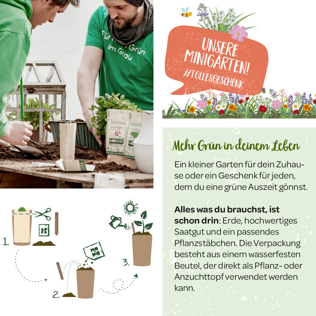 Anzuchtset – Minigarten Zitronenmelisse 