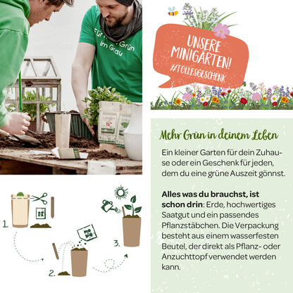Anzuchtset – Minigarten Zitronenmelisse 
