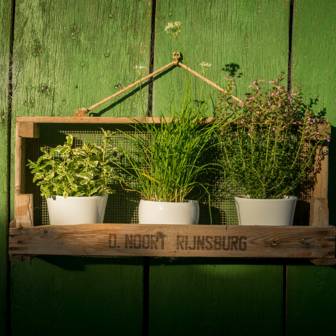 Breites Gartenregal aus Zwiebelsieb 