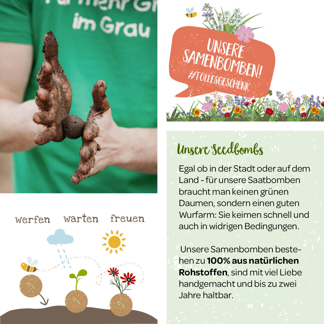 Samenbomben "Sonnenblumen" im Jutebeutel 