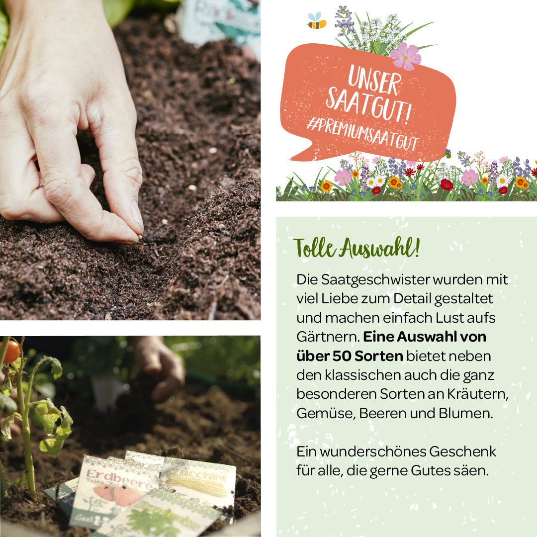 100 g BIO Wildblumen-Saatgut 