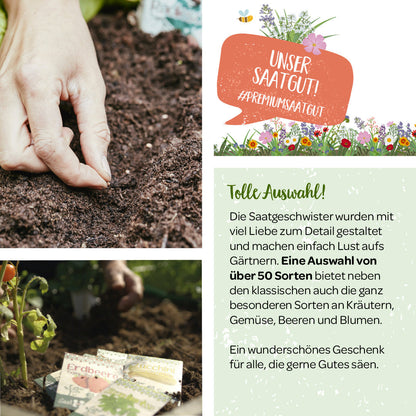 100 g BIO Wildblumen-Saatgut 