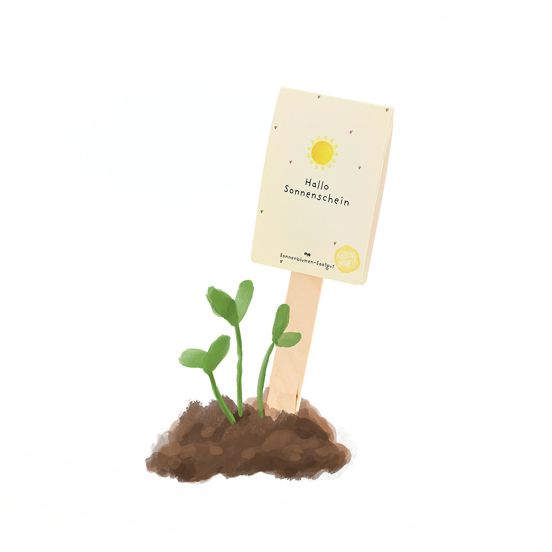 Hallo Sonnenschein - Saatgruß 