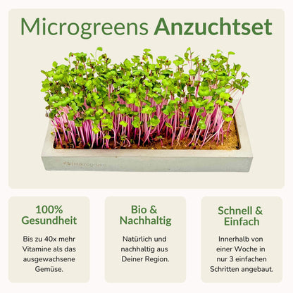 Microgreens Maxi-Set 