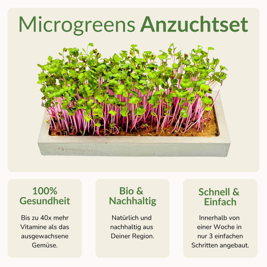 Microgreens Maxi-Set 