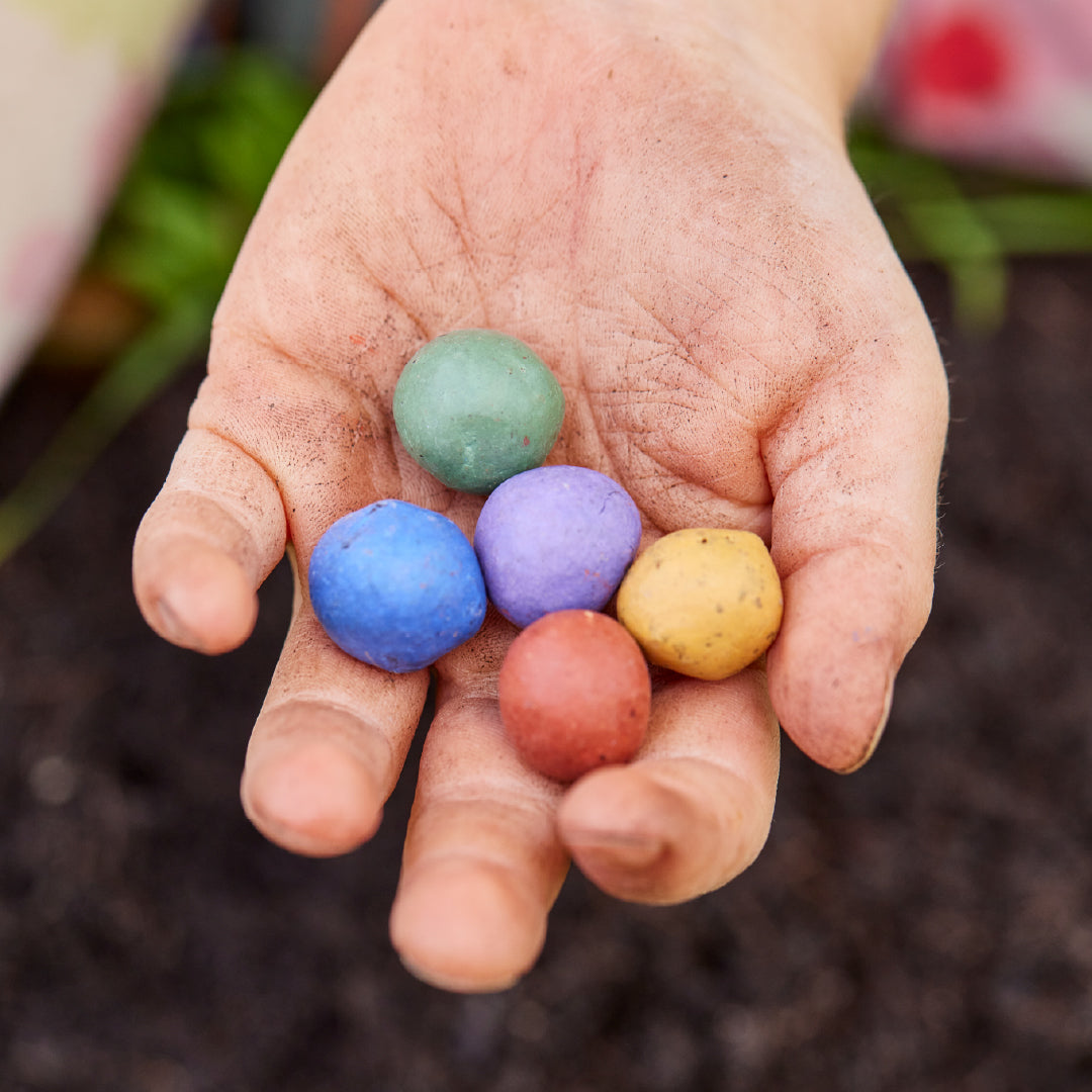 5 Blumenmurmeln im Tütchen zur Einschulung "Du bist 1. Klasse" 