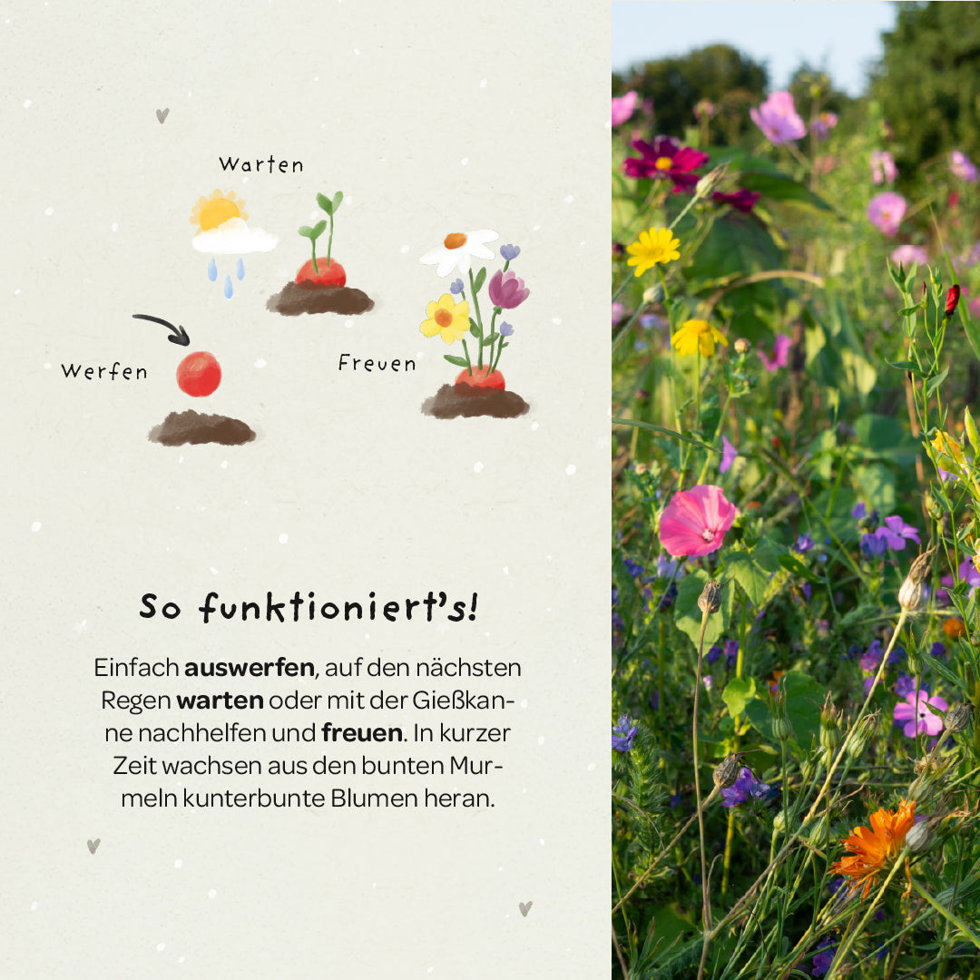 5 Blumenmurmeln im Tütchen zur Einschulung "Endlich Schulkind" 