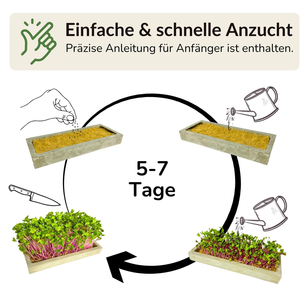 Microgreens Maxi-Set 