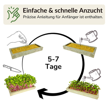 Microgreens Maxi-Set 