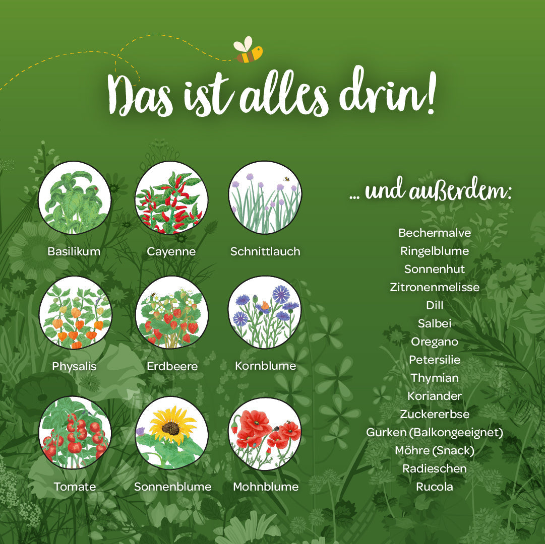Saatgut-Adventskalender "Winterlandschaft" 