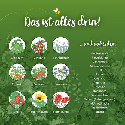 Saatgut-Adventskalender "Winterlandschaft" 