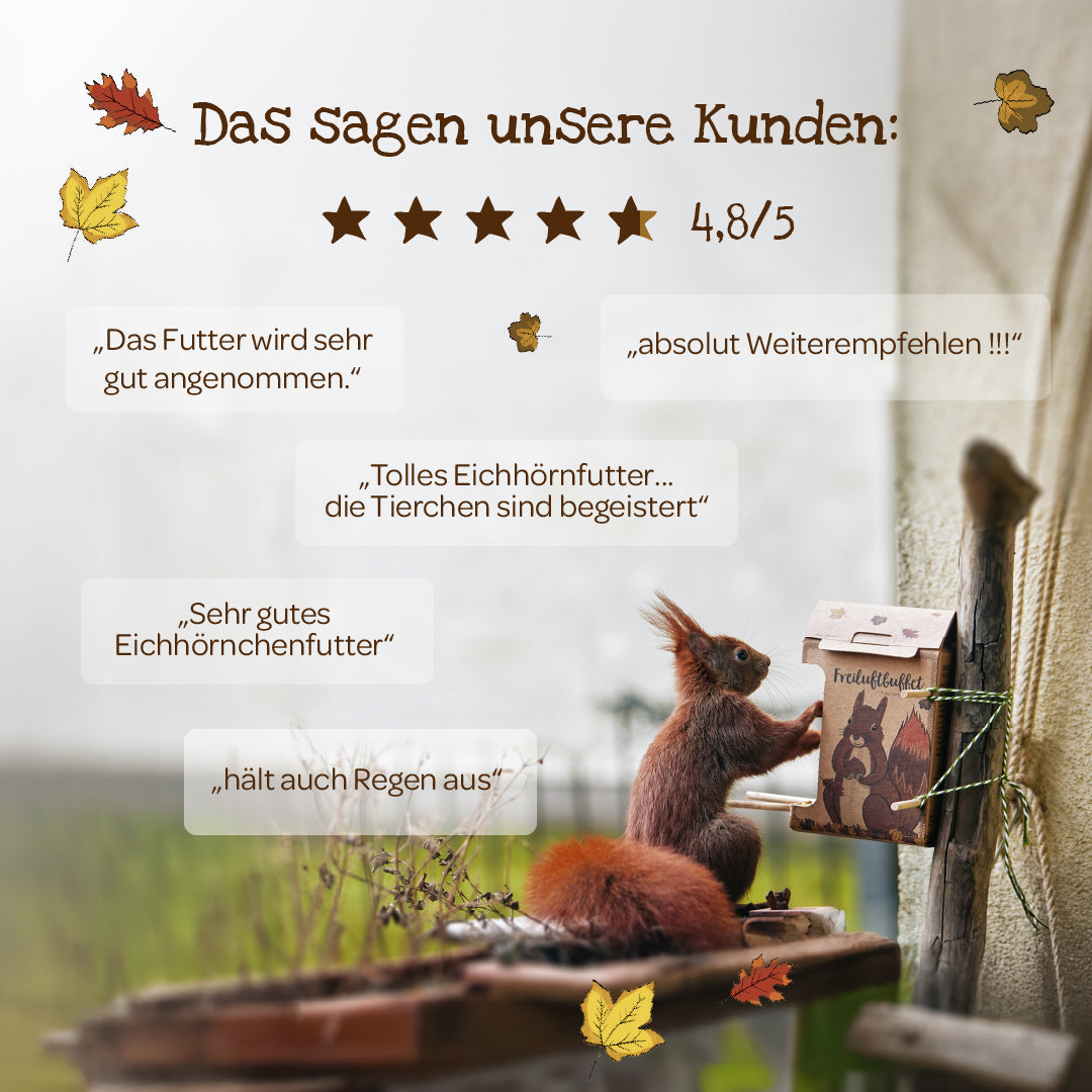 Freiluftbuffet für Eichhörnchen 