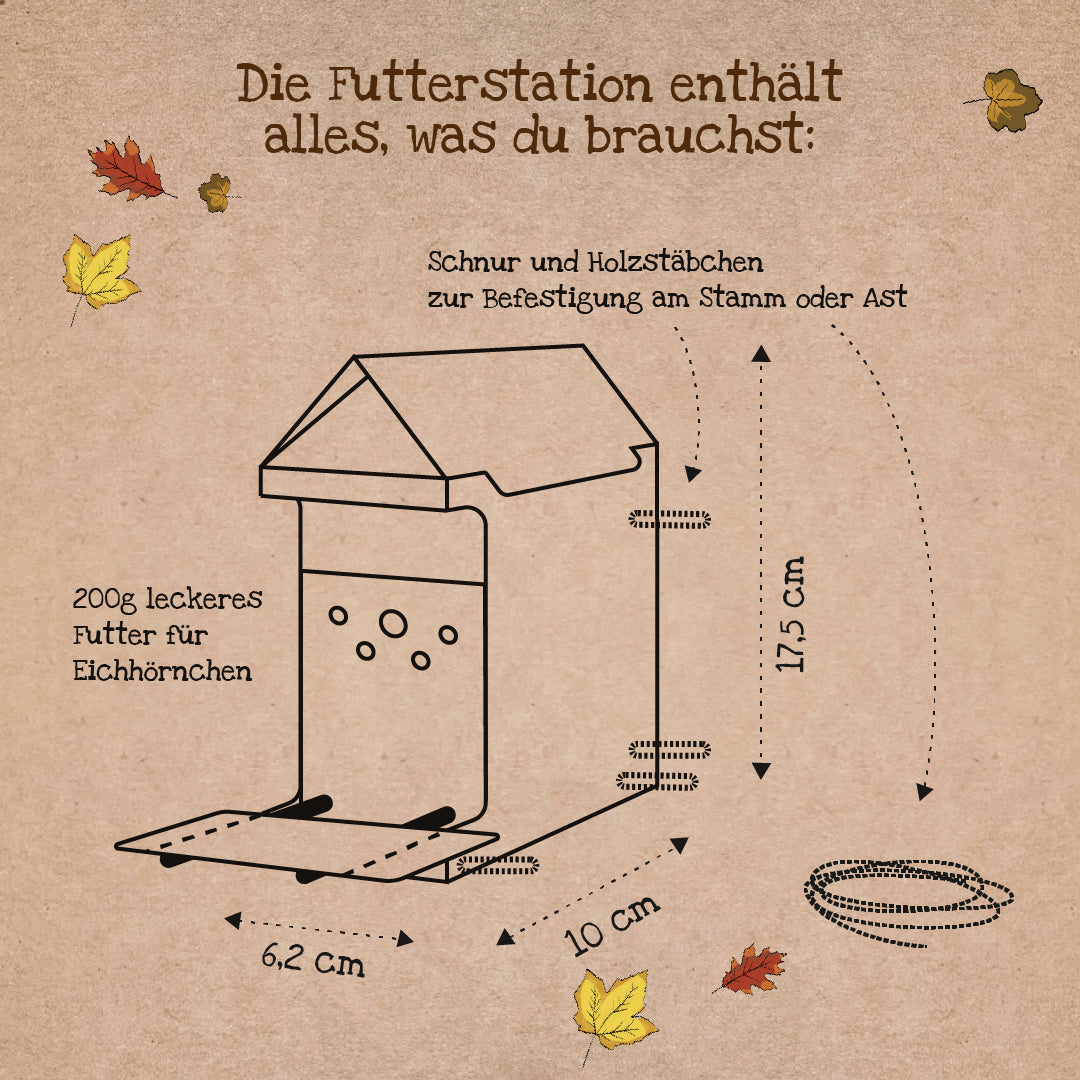 Freiluftbuffet für Eichhörnchen 