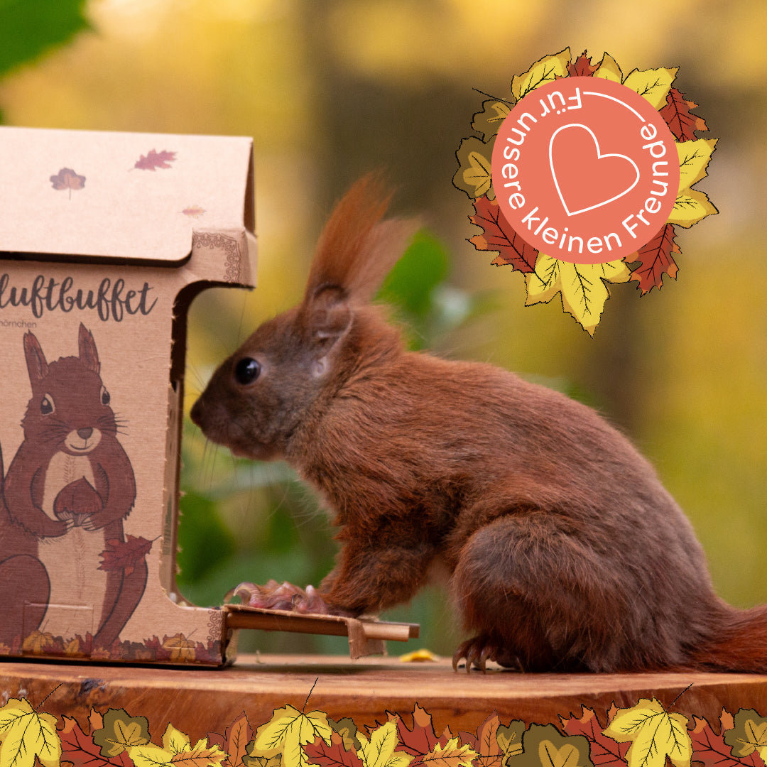 Freiluftbuffet für Eichhörnchen 
