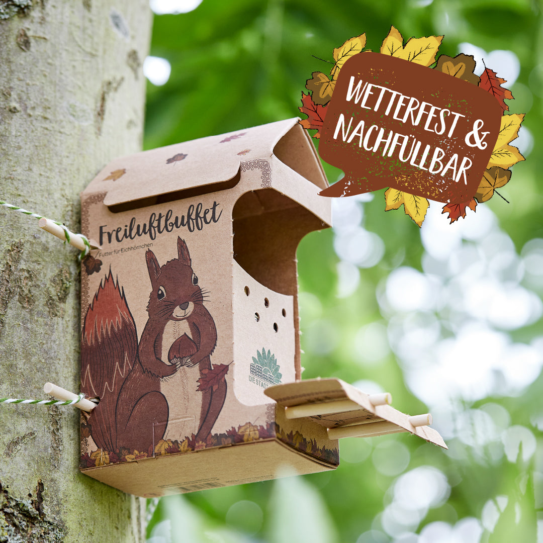Freiluftbuffet für Eichhörnchen 