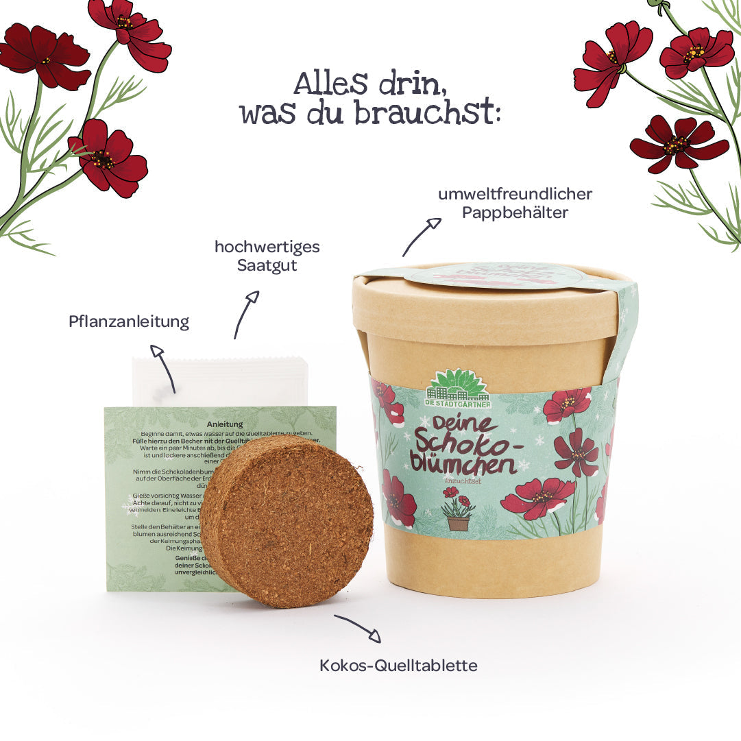 Schokoblumen aus dem Becher 