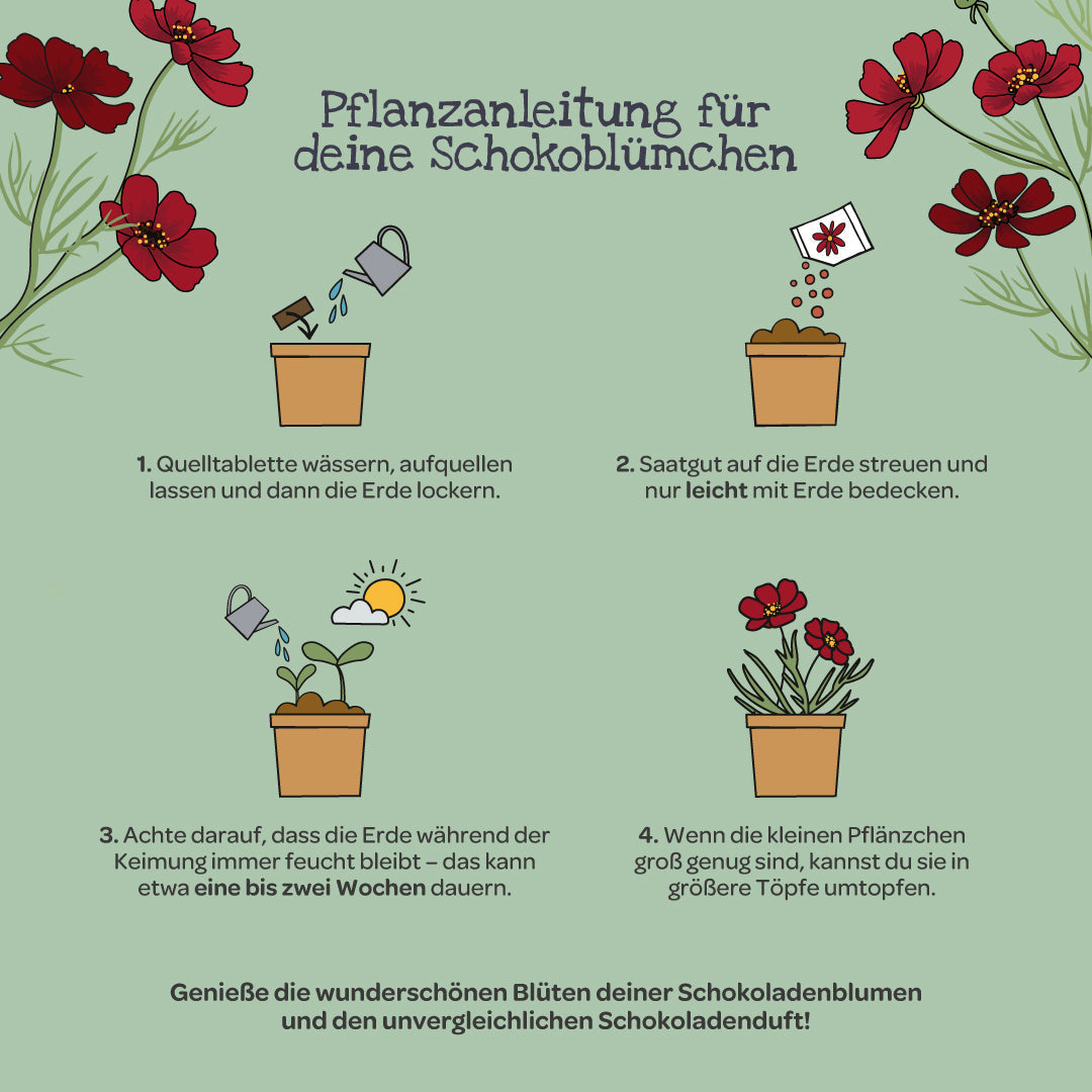 Schokoblumen aus dem Becher 