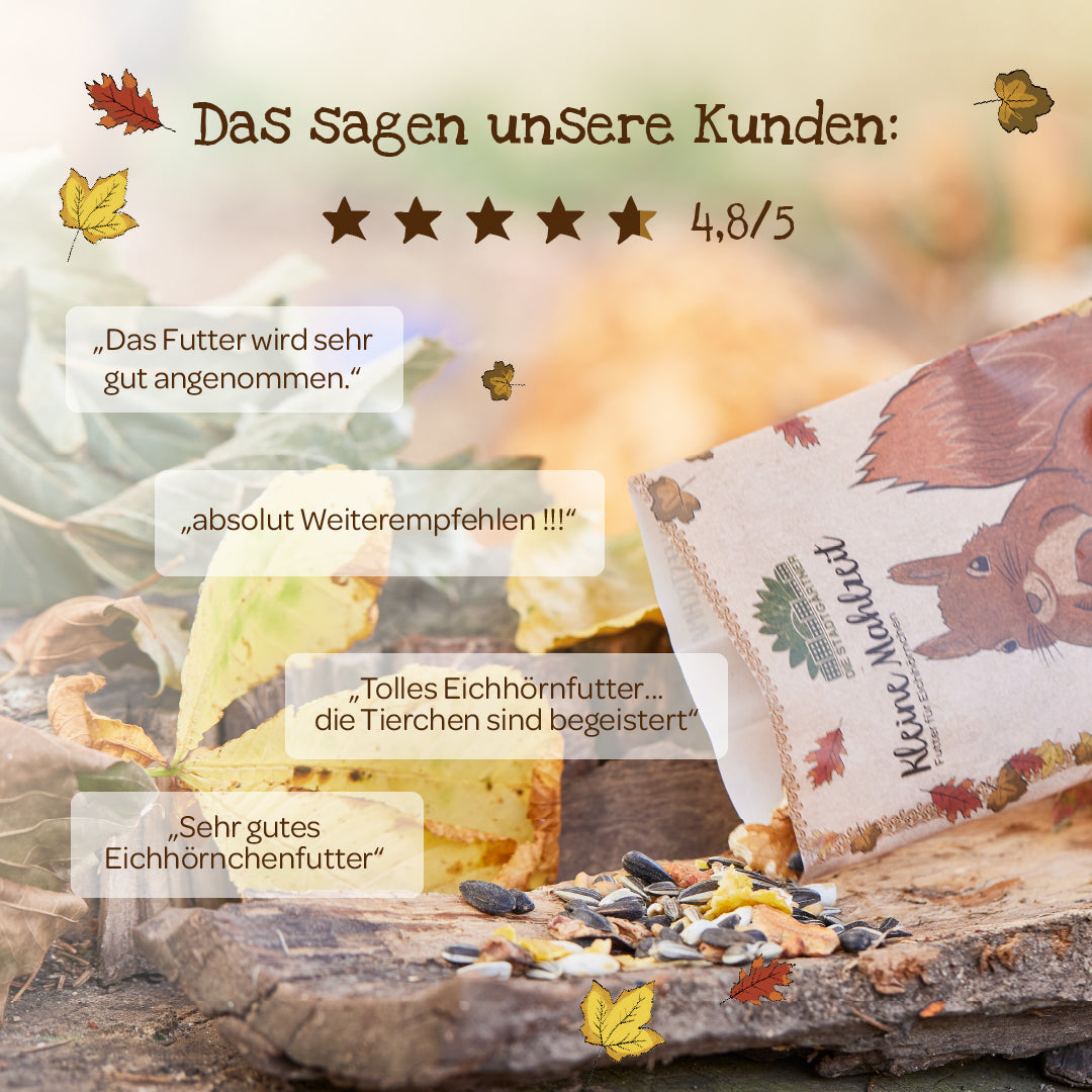Kleine Mahlzeit – Eichhörnchenfutter 