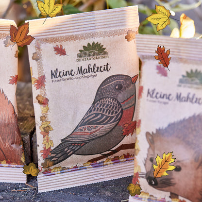 Kleine Mahlzeit – Vogelfutter 