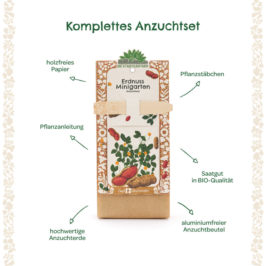 Anzuchtset – Minigarten Erdnuss 