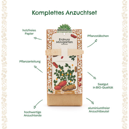 Anzuchtset – Minigarten Erdnuss 
