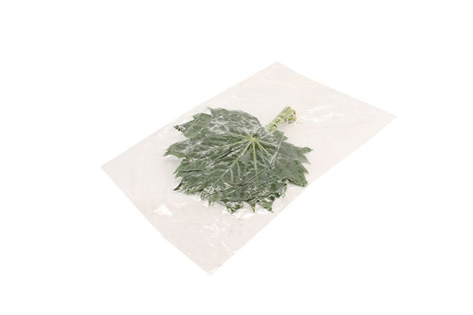 Aralia Baby Blätter 50Stiele – 5Bund à 10Stiele – Schnittgrün 25cm Stiellänge – dekoratives Blattgrün für Vase, Strauß & Floristik – ideal für Hochzeit, Event & Tischdeko 