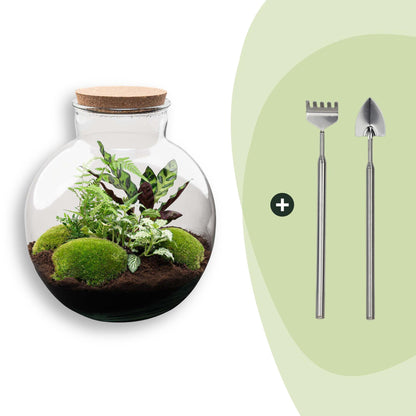 Flaschengarten Bolder Bob – Ø31cm – ↕30cm – DIY Terrarium mit Korkdeckel & Pflanzen – Ansicht 7