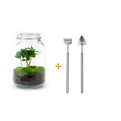 Flaschengarten Coffea Arabica – DIY Bausatz Terrarium – ↕28cm – Do It Yourself Pflanzen – Set – Ansicht 4