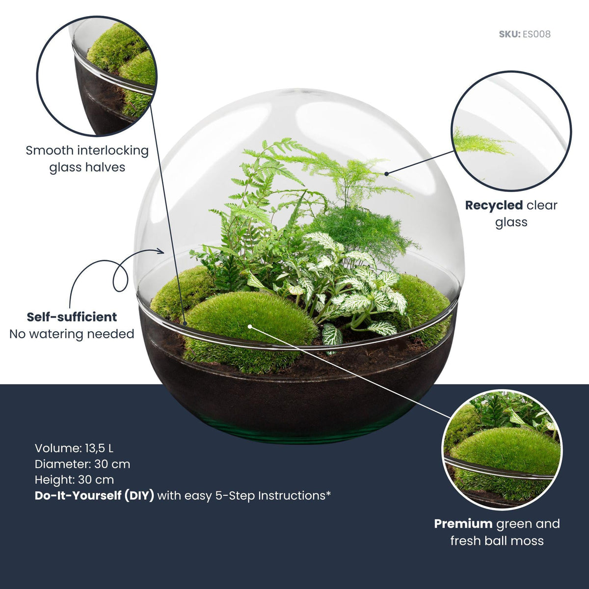 Flaschengarten DIY Bausatz Terrarium Kuppel XL Ø30cm – Ansicht 6