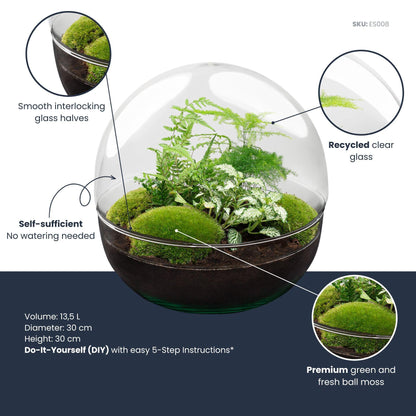 Flaschengarten DIY Bausatz Terrarium Kuppel XL Ø30cm – Ansicht 6