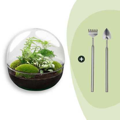 Flaschengarten DIY Bausatz Terrarium Kuppel XL Ø30cm – Ansicht 8