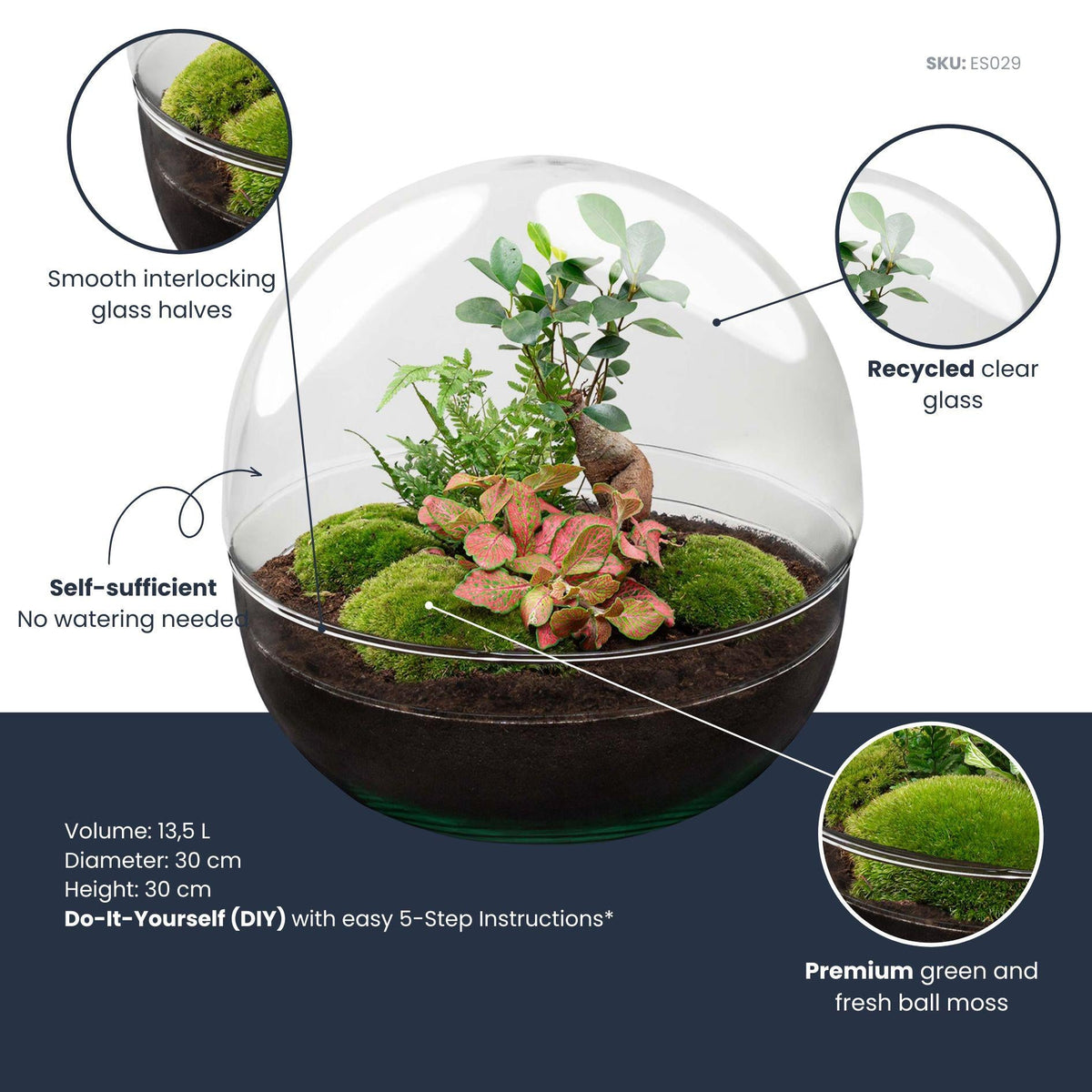 Flaschengarten DIY Bausatz Dome XL – Terrarium Ø30cm x H30cm – Ansicht 4