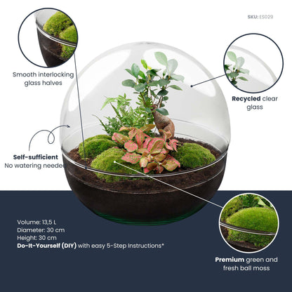 Flaschengarten DIY Bausatz Dome XL – Terrarium Ø30cm x H30cm – Ansicht 4