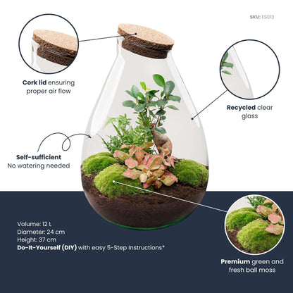 Flaschengarten DIY Bausatz - Terrarium – Drop XL – ↕ 37 cm – Ansicht 6