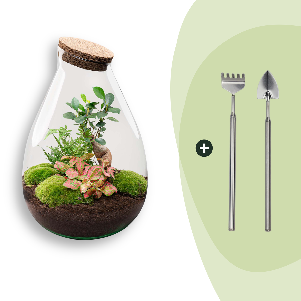 Flaschengarten DIY Bausatz - Terrarium – Drop XL – ↕ 37 cm – Ansicht 8